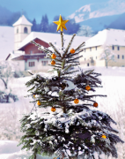 árvore-de-natal 42 lista
